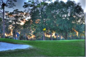 Course Information Dunedin Golf Club Dunedin FL
